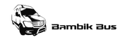 Bambik-Bus Międzynarodowy przewóz osób